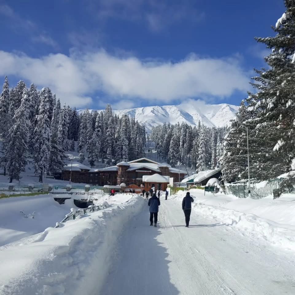 Learn Skiing in Gulmarg - Beginners photo 5