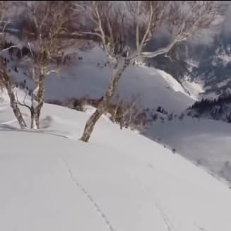 Learn Skiing in Gulmarg- Intermediate photo 2