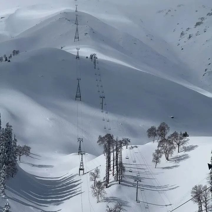 Learn Skiing in Gulmarg- Intermediate photo 3