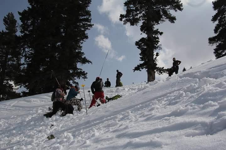 Learn Skiing in Gulmarg - Beginners photo 6