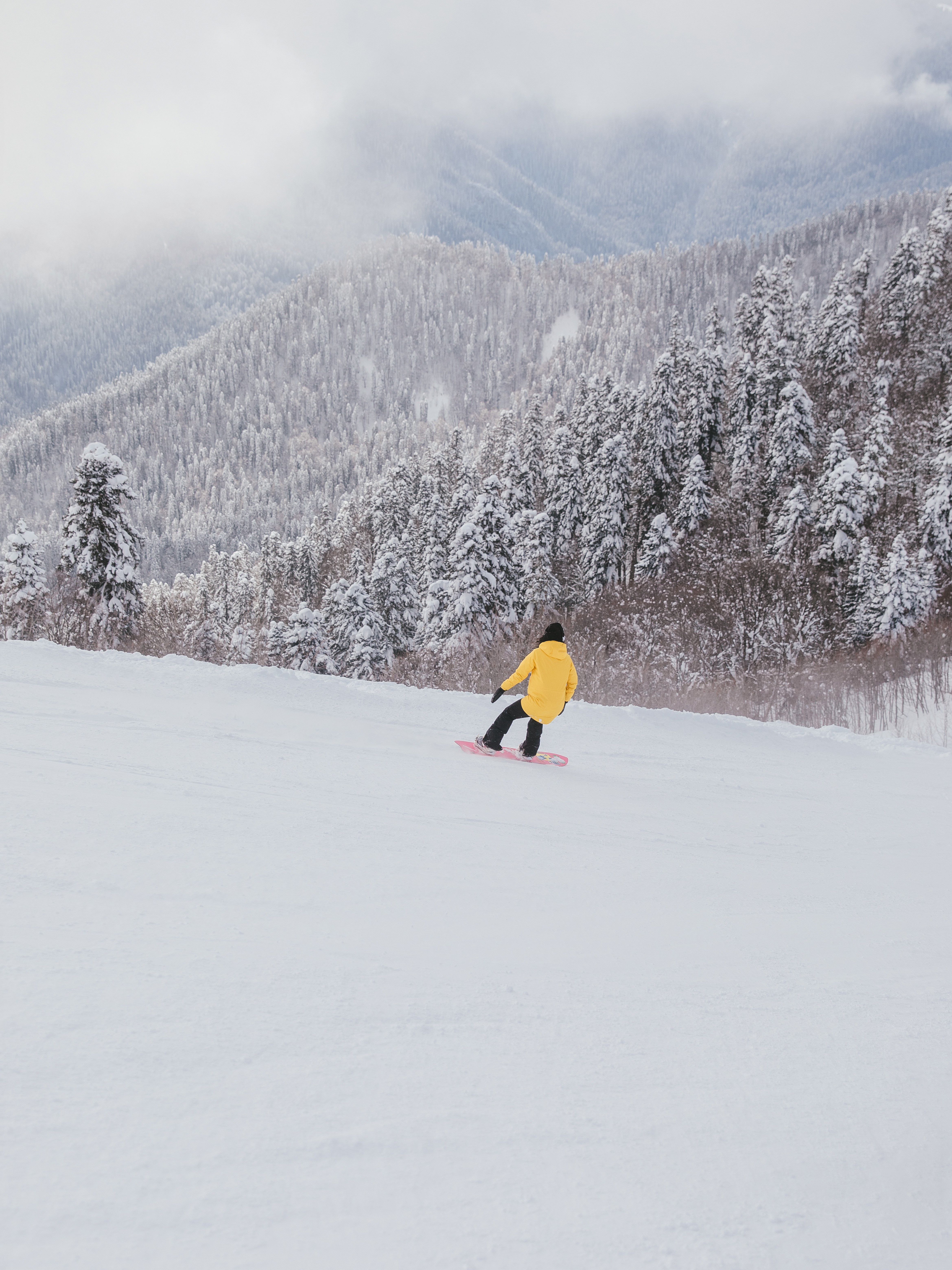 Snowboarding - Gulmarg for Beginners photo 5
