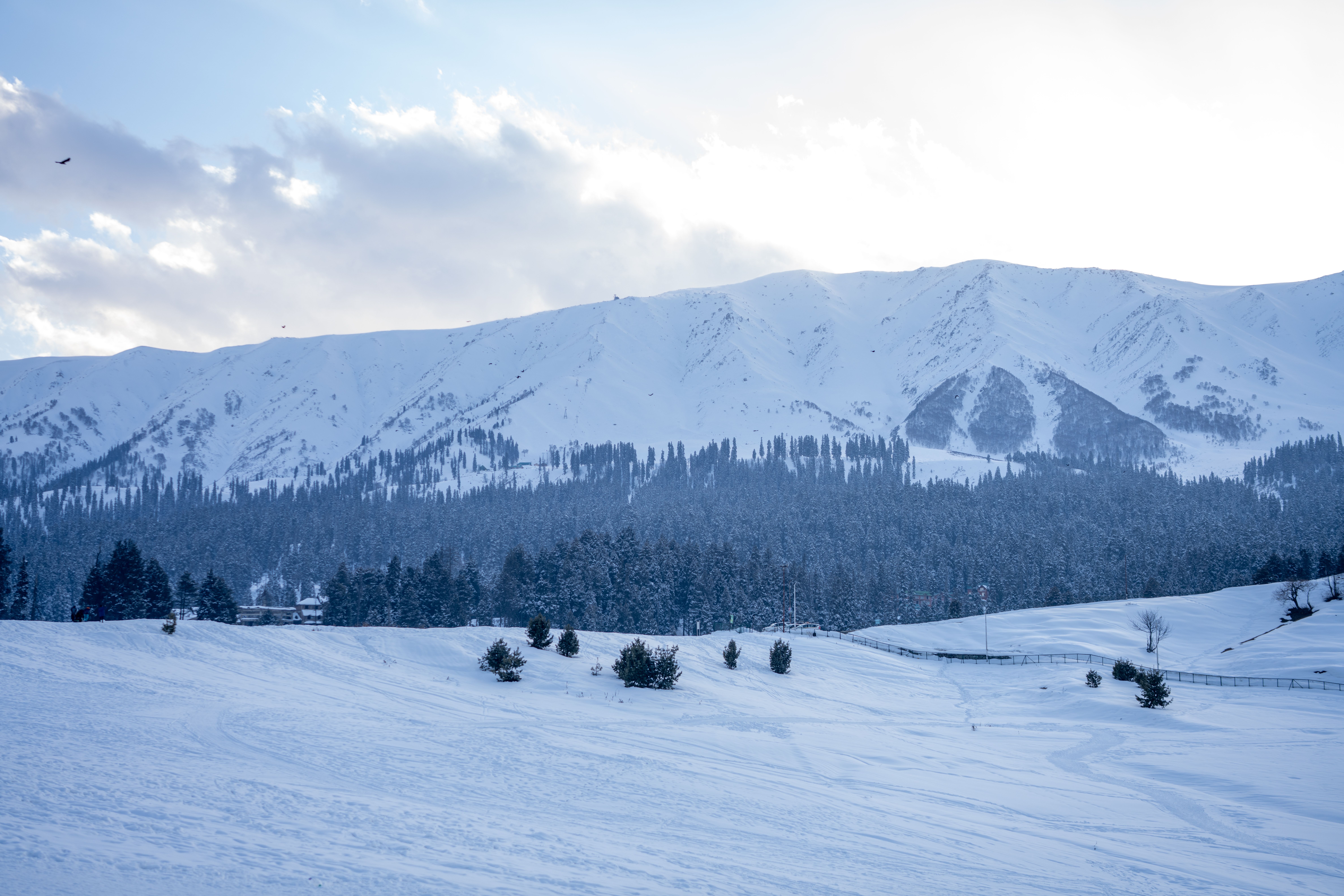 Learn Skiing in Gulmarg- Intermediate photo 6
